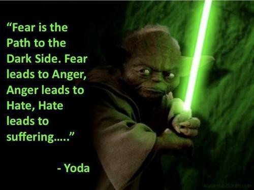 yoda-fear-is-the-path.jpg