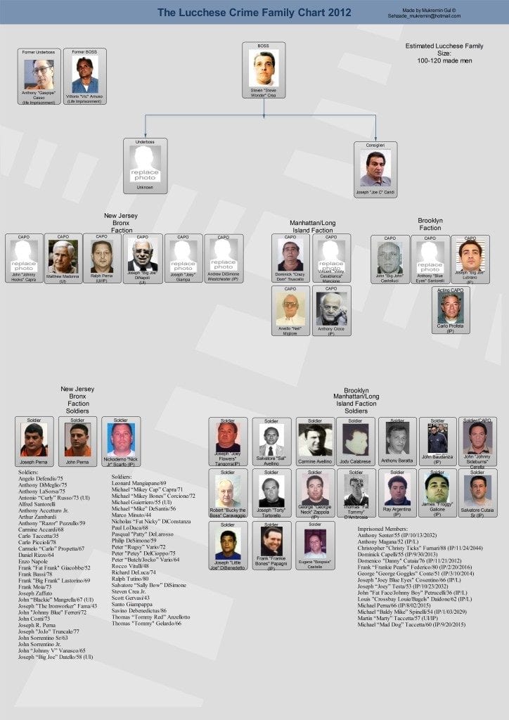 Lucchese-crime-family-tree-mobsters-mafia