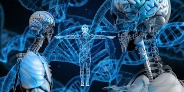 Human DNA and genetics as related to brain health
