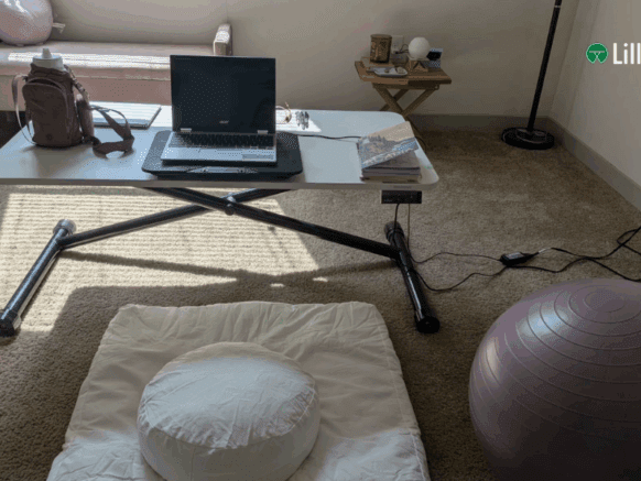 What Is the Difference Between a Sit to Stand Desk and a Fixed Desk?