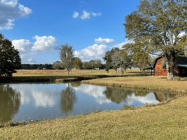 Beyond the Spotlight: Why Celebrities Are Turning to Secluded Rehabs for a Real Shot at Recovery