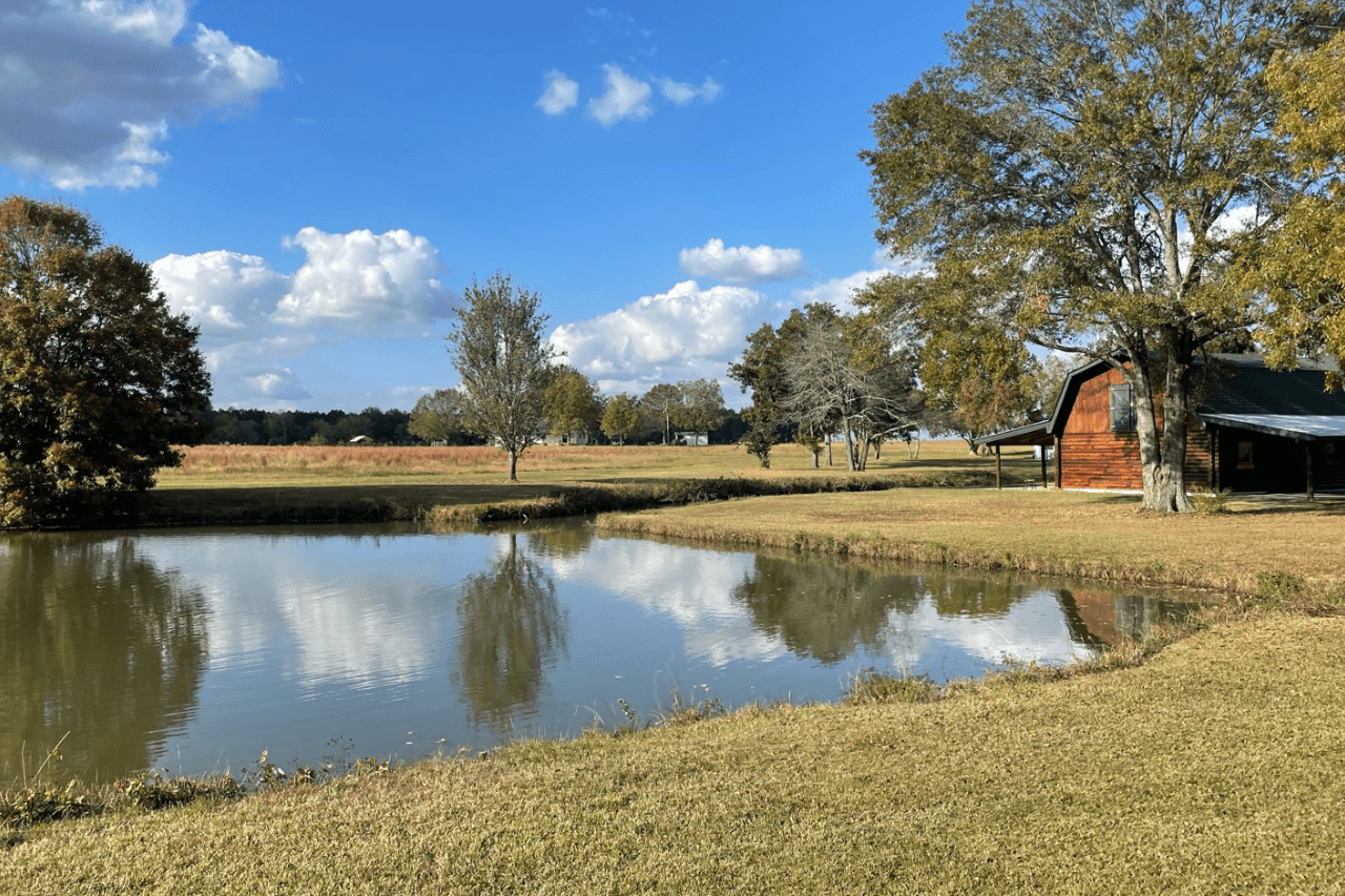 Beyond the Spotlight: Why Celebrities Are Turning to Secluded Rehabs for a Real Shot at Recovery