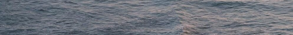 Swamis: Encinitas' Classic Longboard Point